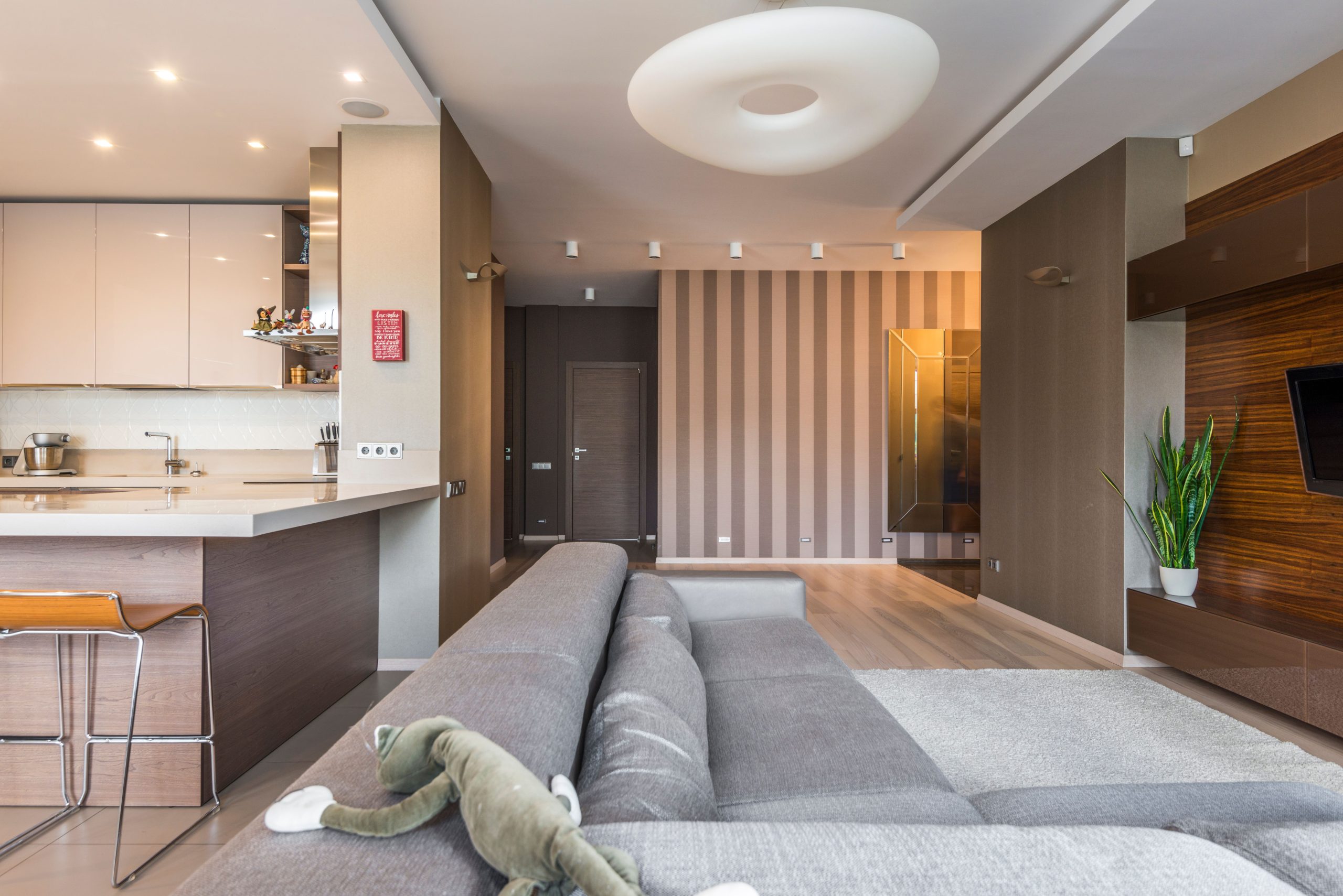 Spacieux salon minimaliste avec cuisine ouverte